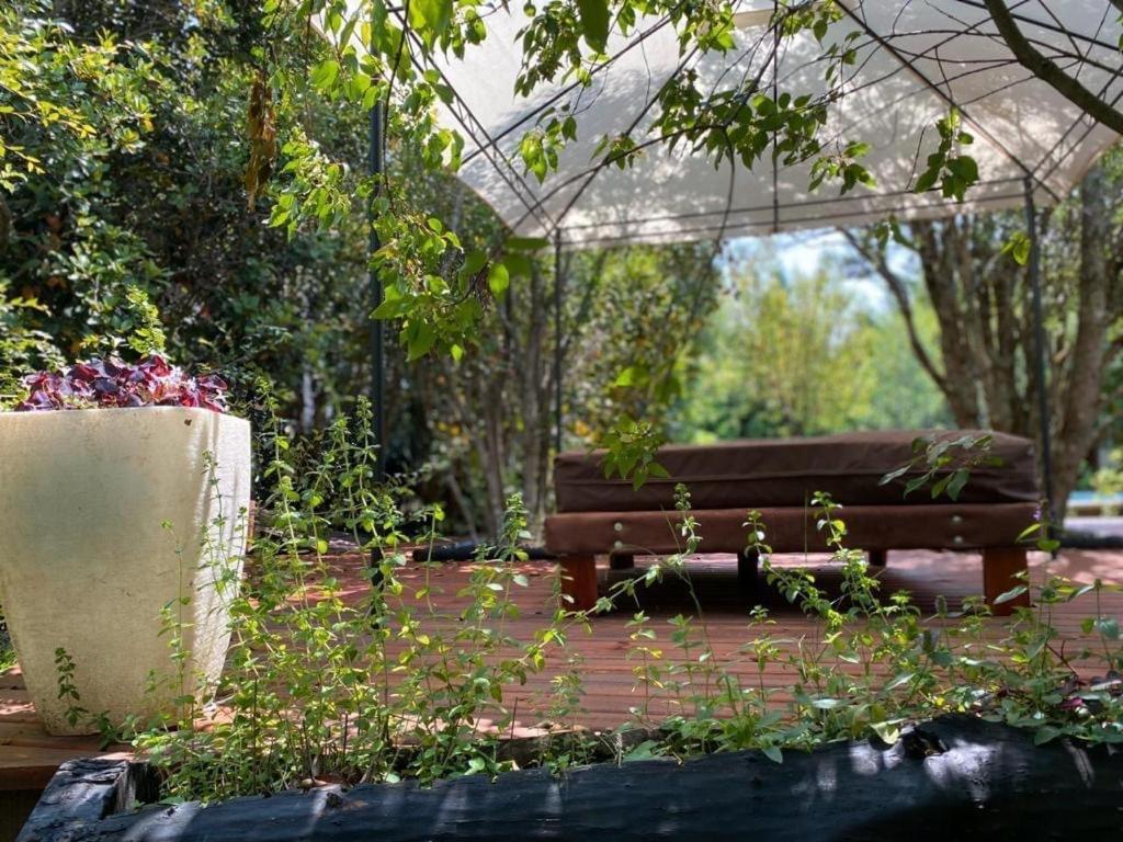 Cabanas Natural Park Lodge פוקון מראה חיצוני תמונה