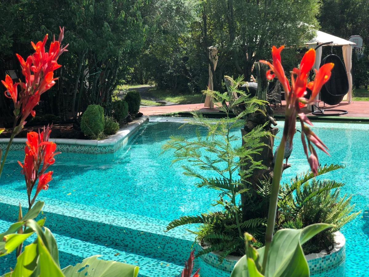 Cabanas Natural Park Lodge פוקון מראה חיצוני תמונה