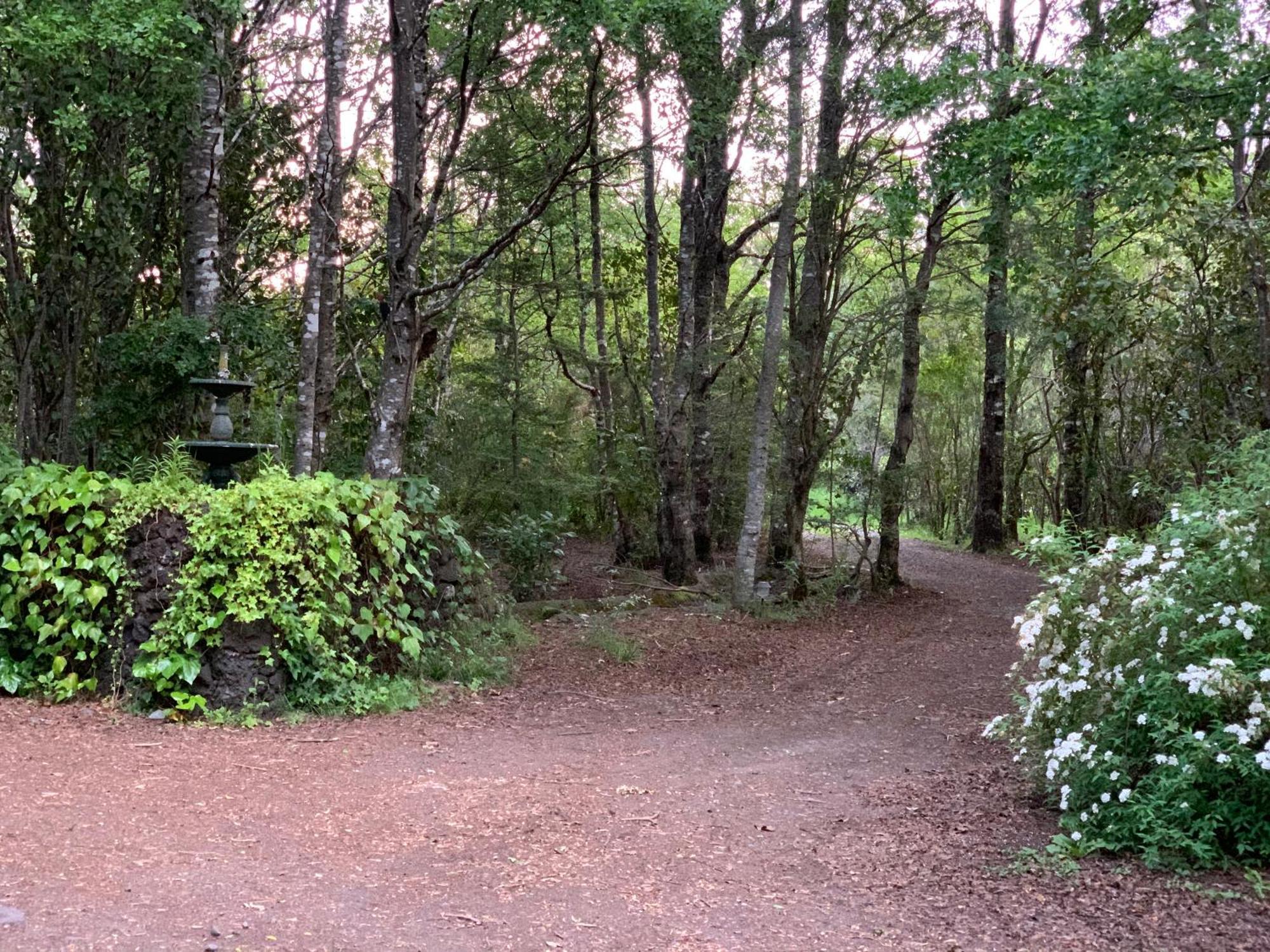 Cabanas Natural Park Lodge פוקון מראה חיצוני תמונה