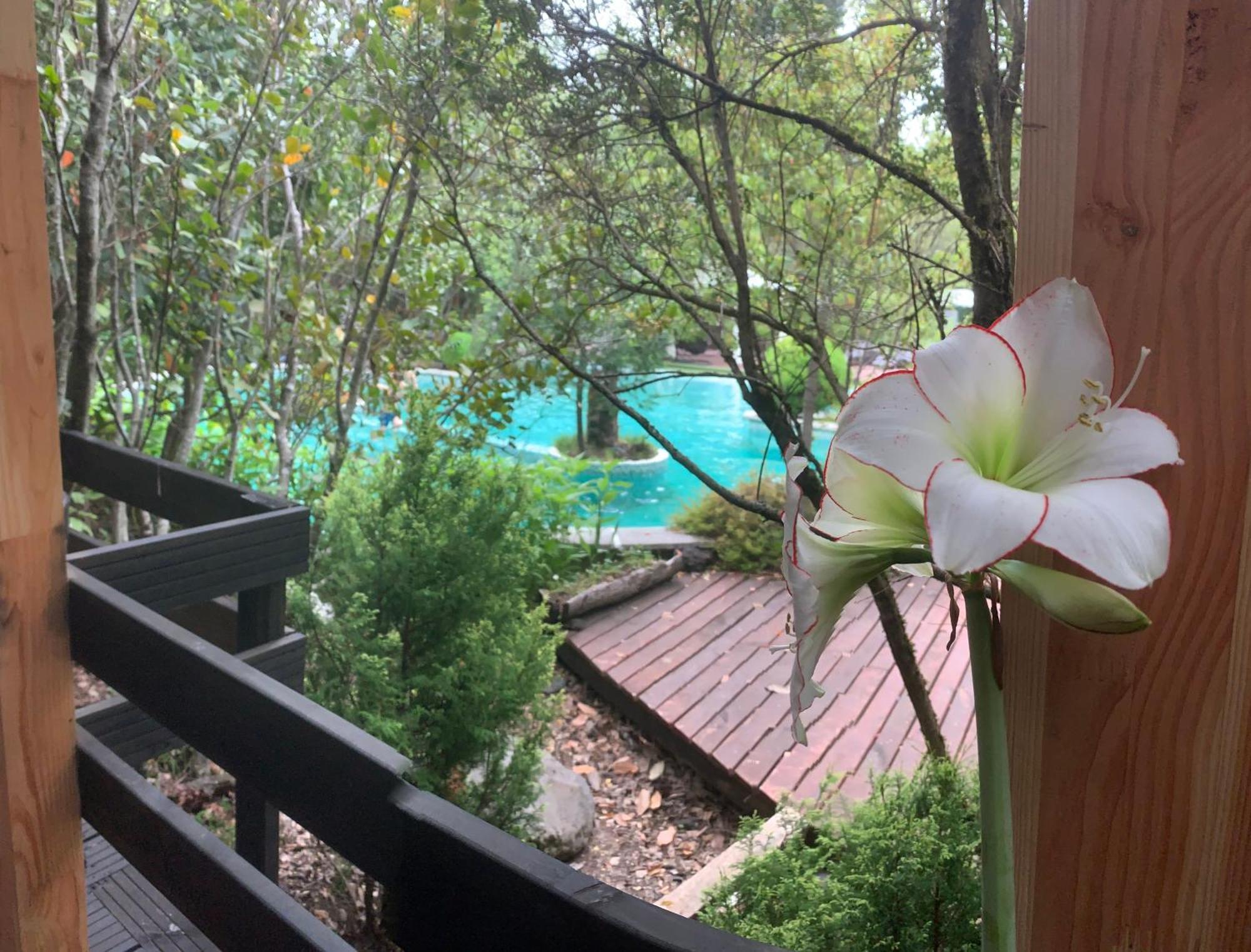 Cabanas Natural Park Lodge פוקון מראה חיצוני תמונה