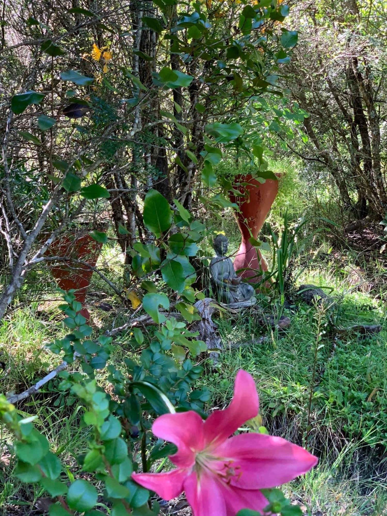 Cabanas Natural Park Lodge פוקון מראה חיצוני תמונה