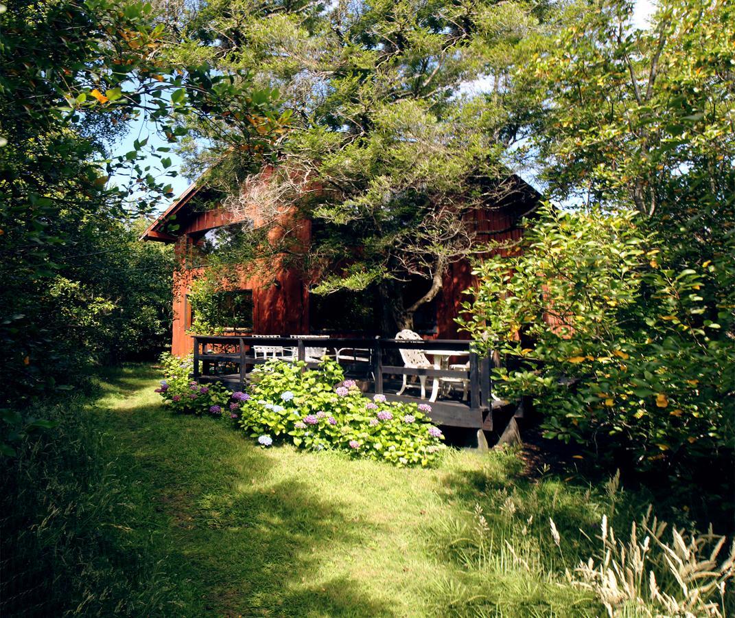 Cabanas Natural Park Lodge פוקון מראה חיצוני תמונה