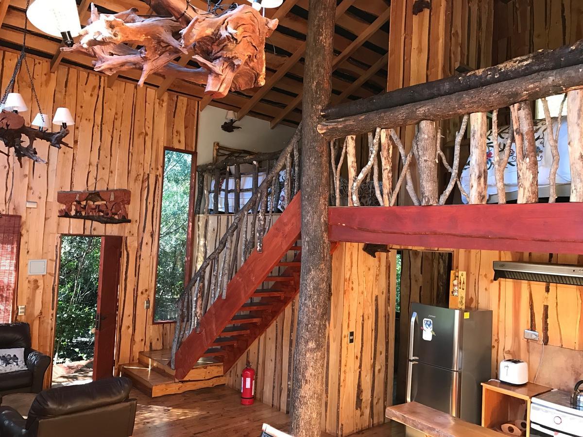 Cabanas Natural Park Lodge פוקון מראה חיצוני תמונה